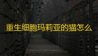 重生细胞玛莉亚的猫怎么获得